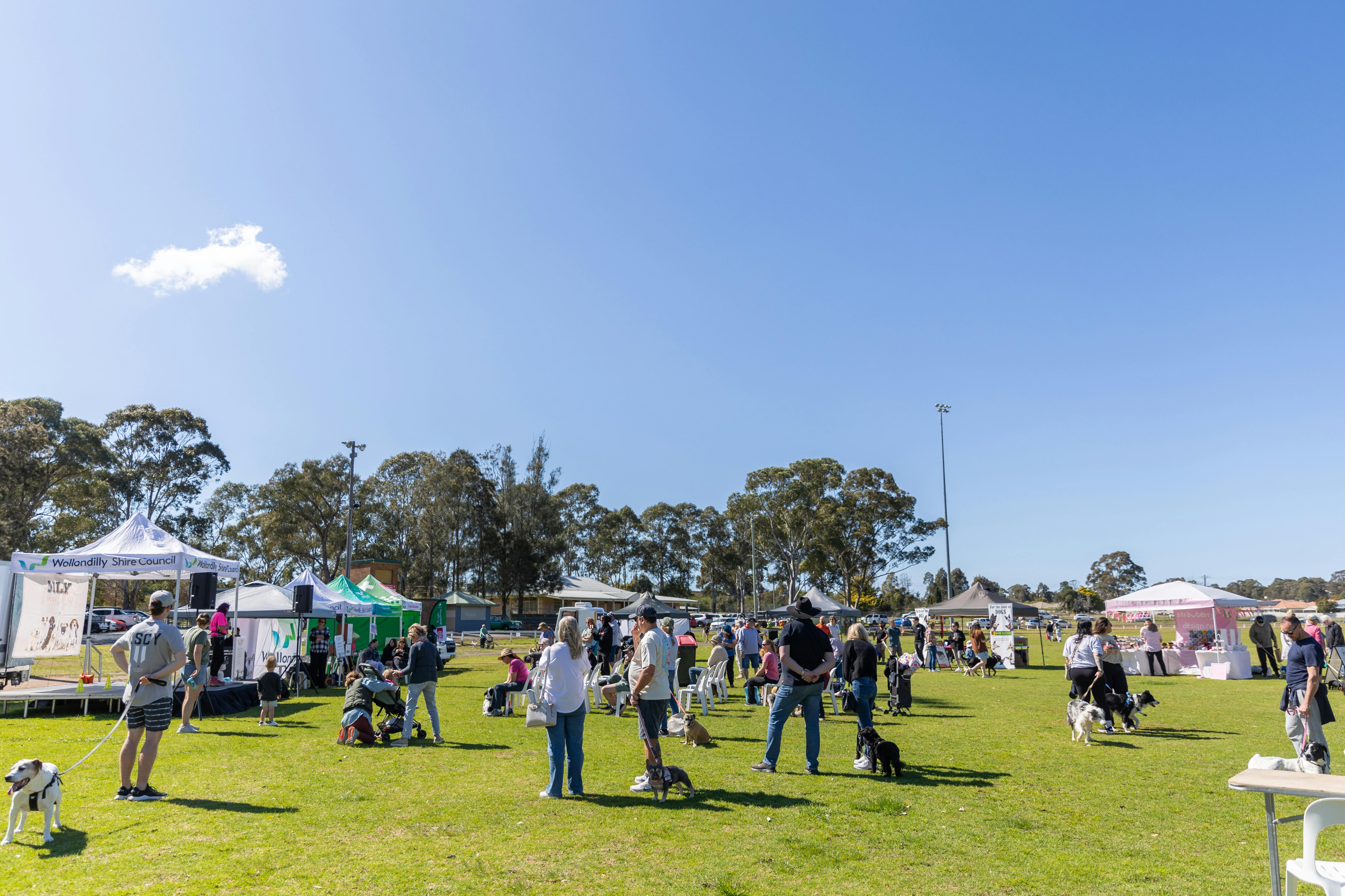 Review of Council-led Community Events | Your Say Wollondilly