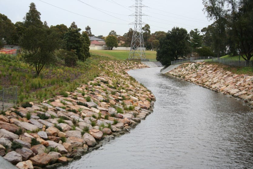 Example of a previous naturalisation project