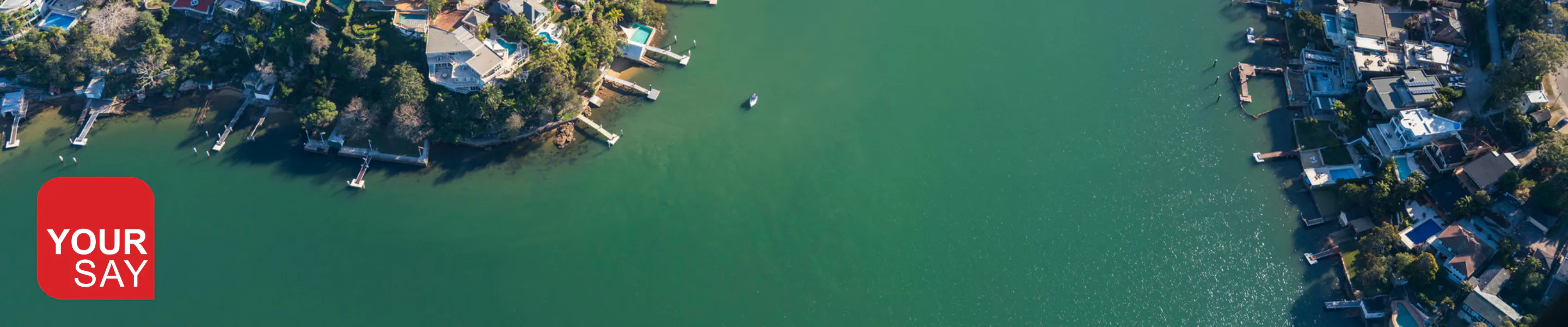 An aerial shot of the Georges River with coastal houses on the foreshore. Your Say logo is in the bottom left corner. 