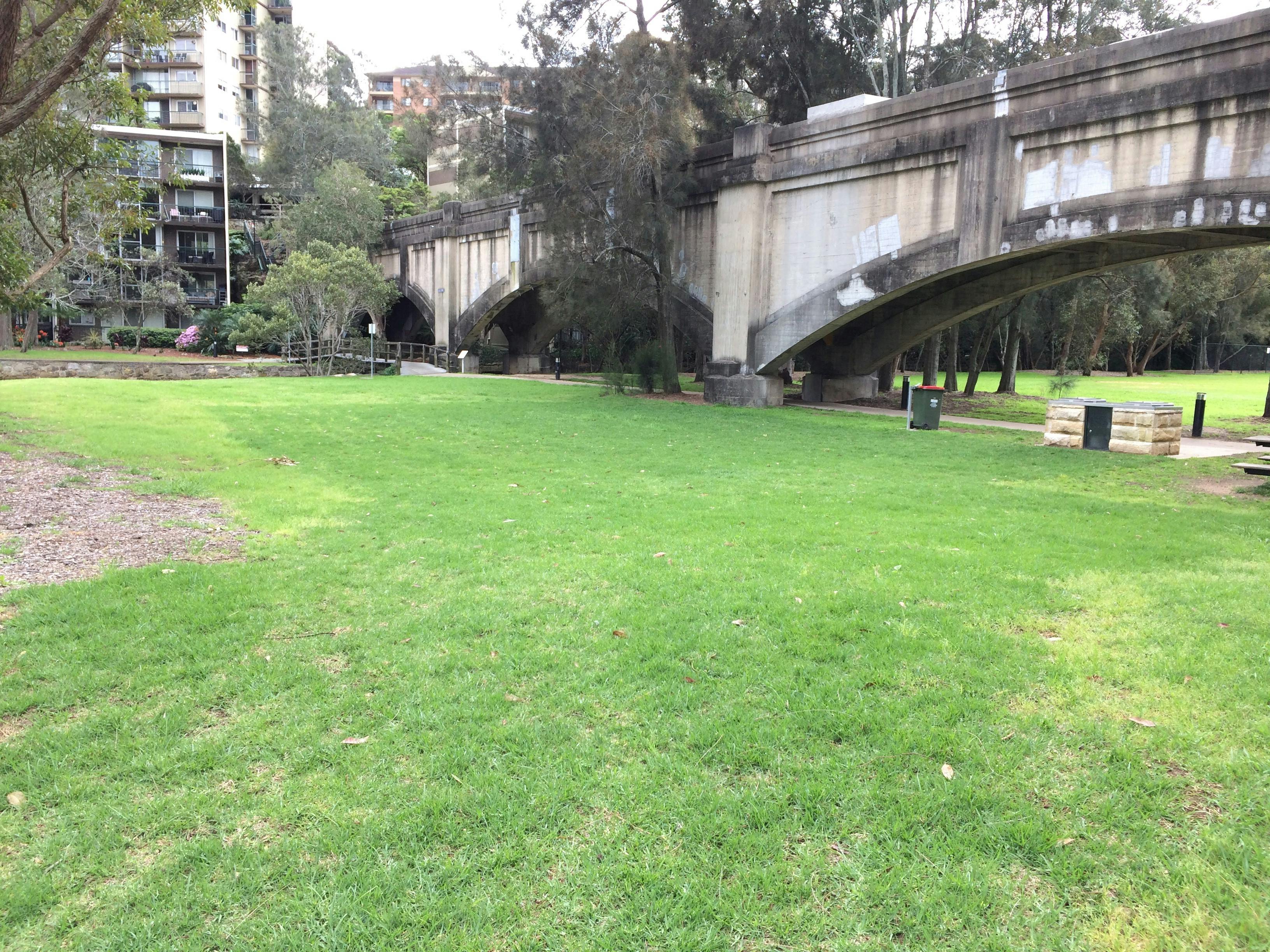 Burns Bay Reserve Restored Area.jpg