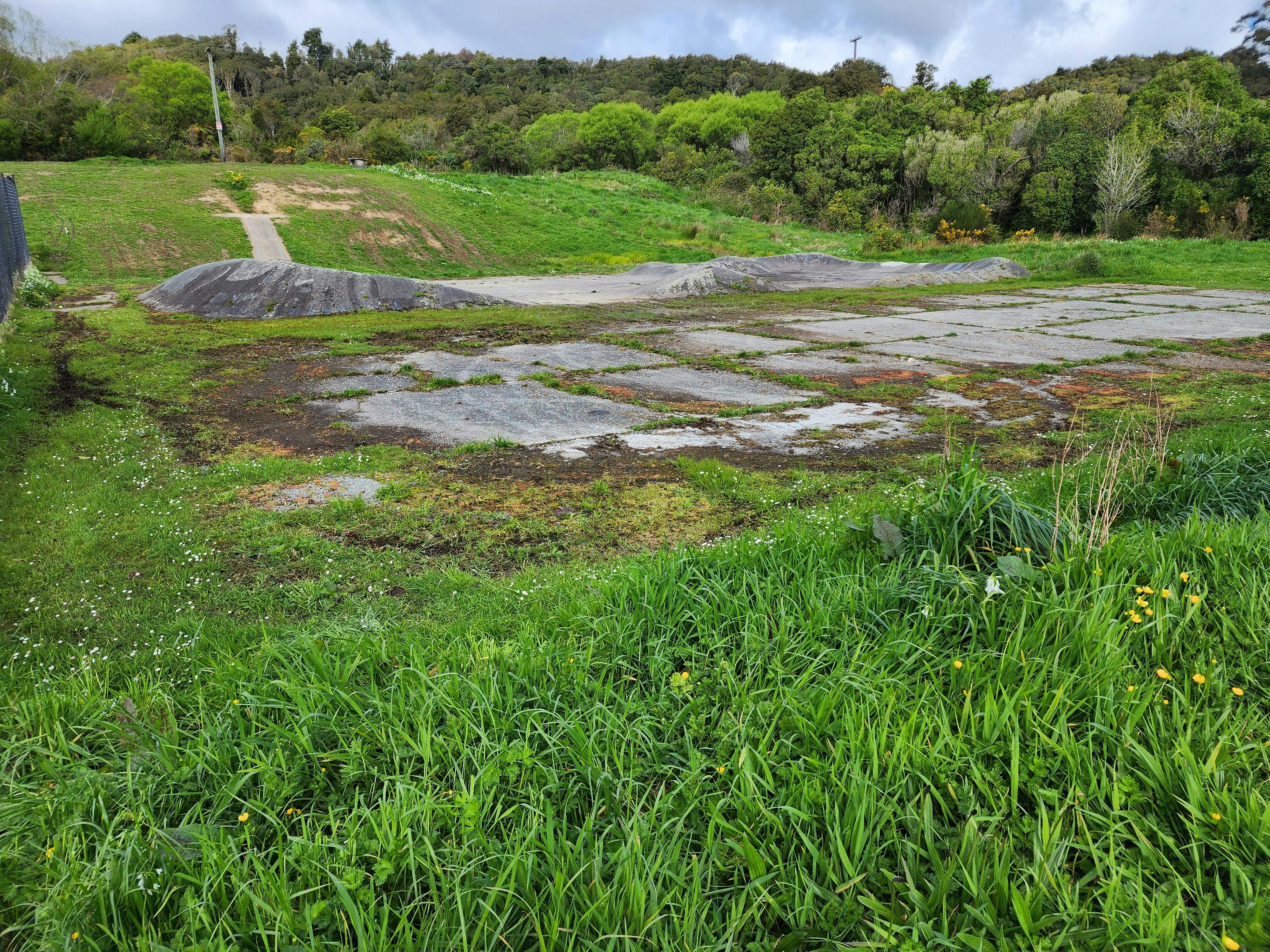 Kotare Domain Section of park