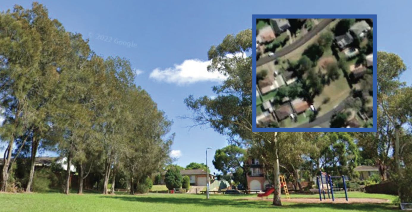 Patrick Newman Reserve.PNG