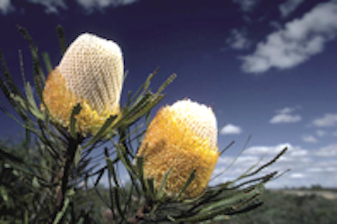Visual Identity Steering Committee The City is currently seeking nominations to fill four positions on the Visual Identity (Branding) Steering Committee. Nominations are open to all ratepayers of the City of Kalamunda.