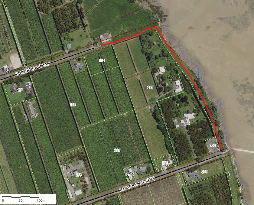 MacMillan Reserve - shared pathway.png
