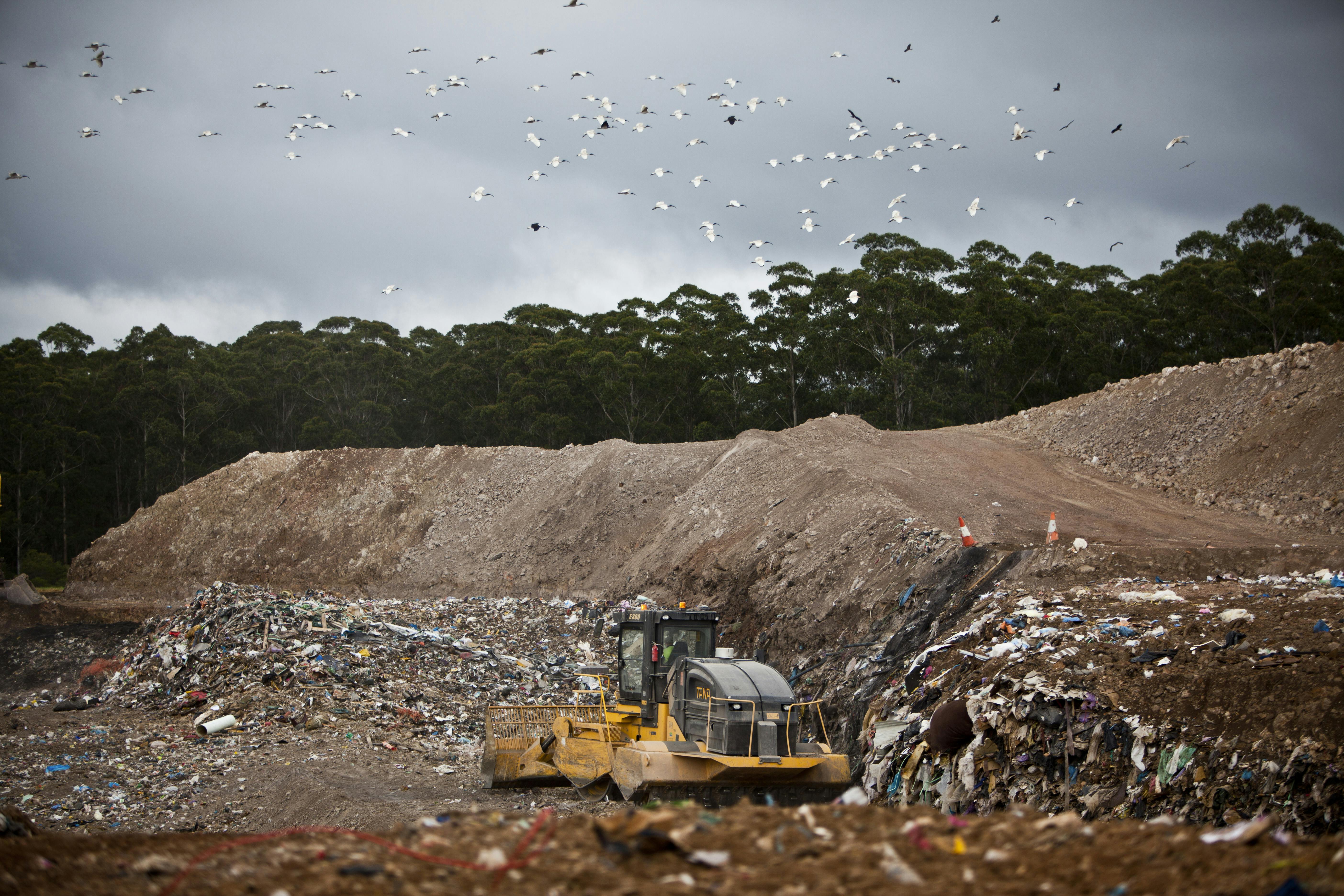 Landfill And Compactor