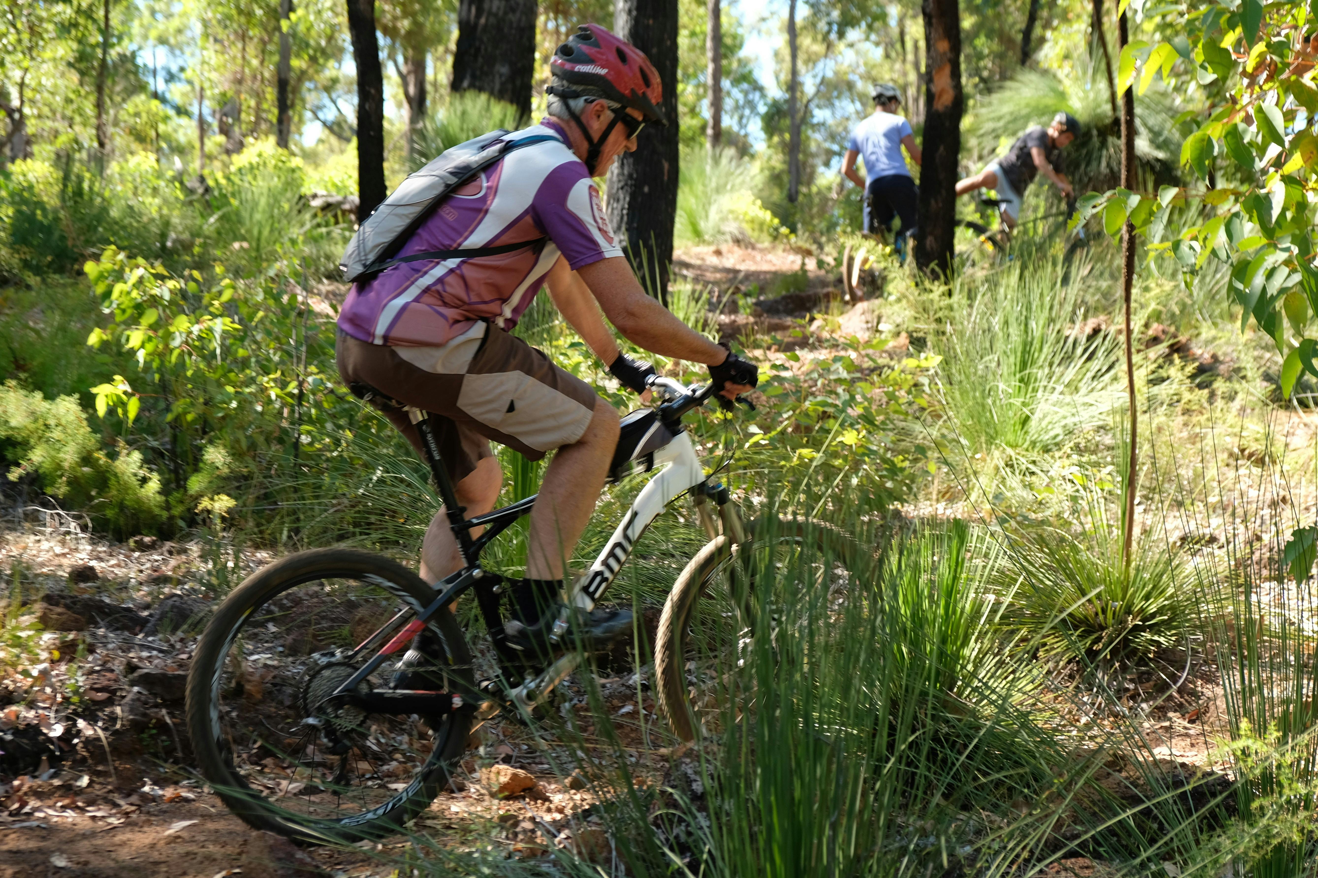 Wagyl Biddi Trail