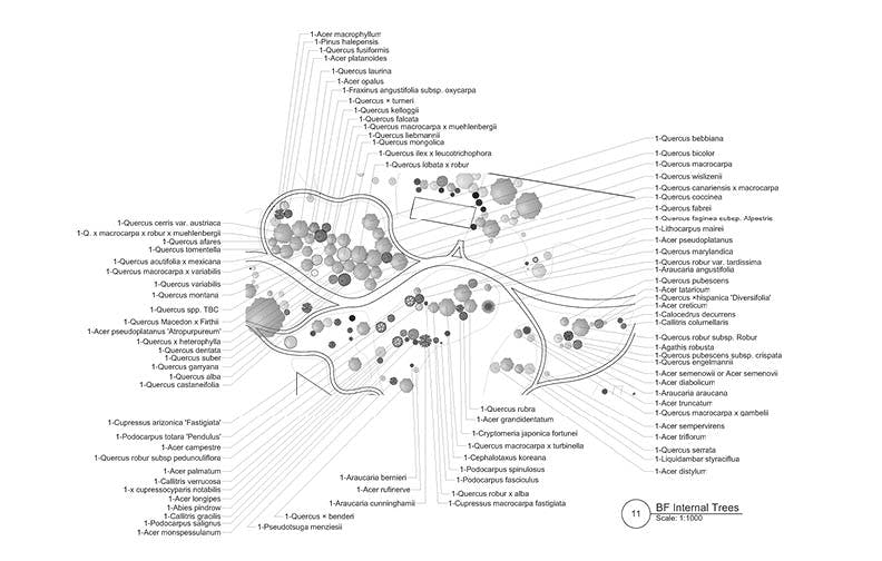 Bill Funk Trees - internal beds