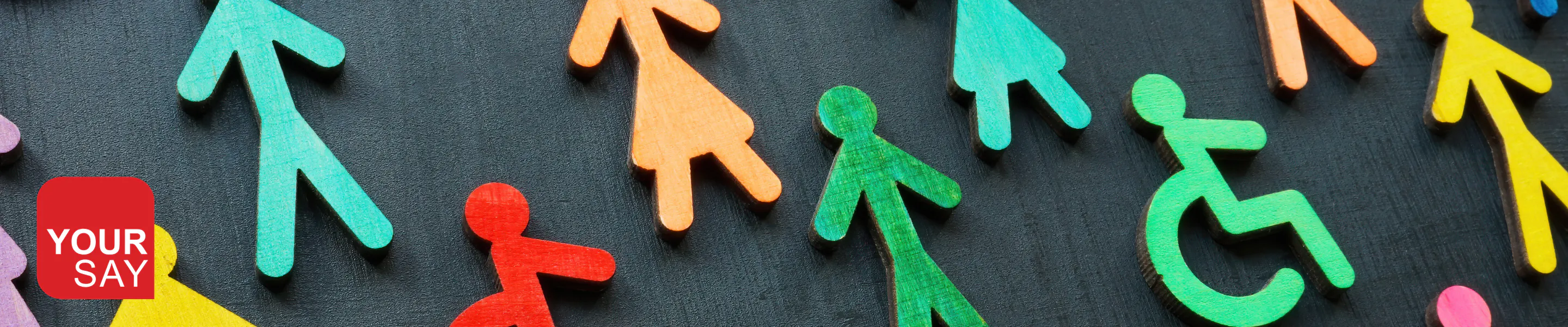 Join the Access and Inclusion Advisory Committee | Your Say Georges River