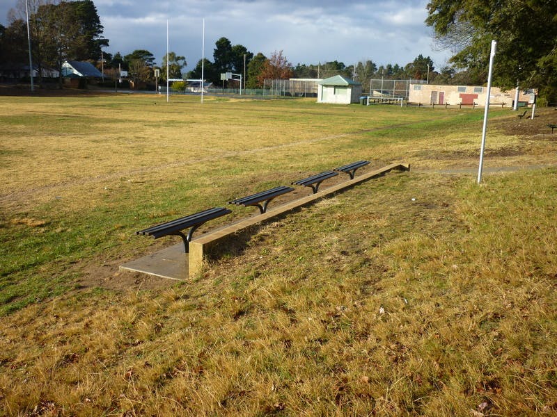 Blackheath Oval. Football and regular Dog Training