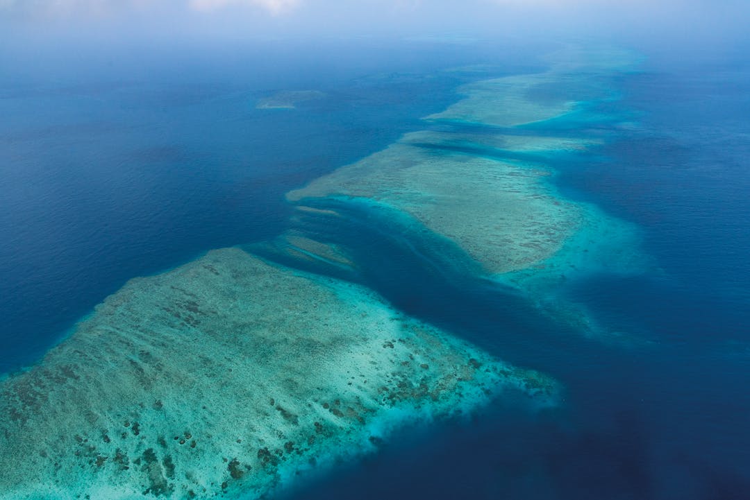 Torres Strait Biosecurity Awareness Survey 