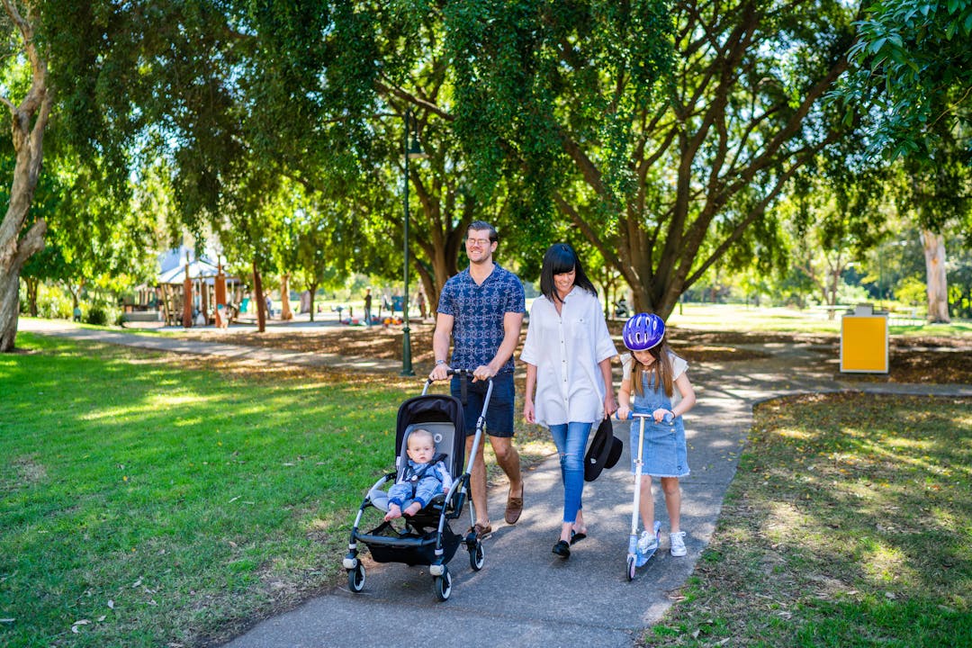 two people walking down a street under a large tree with red flowers
