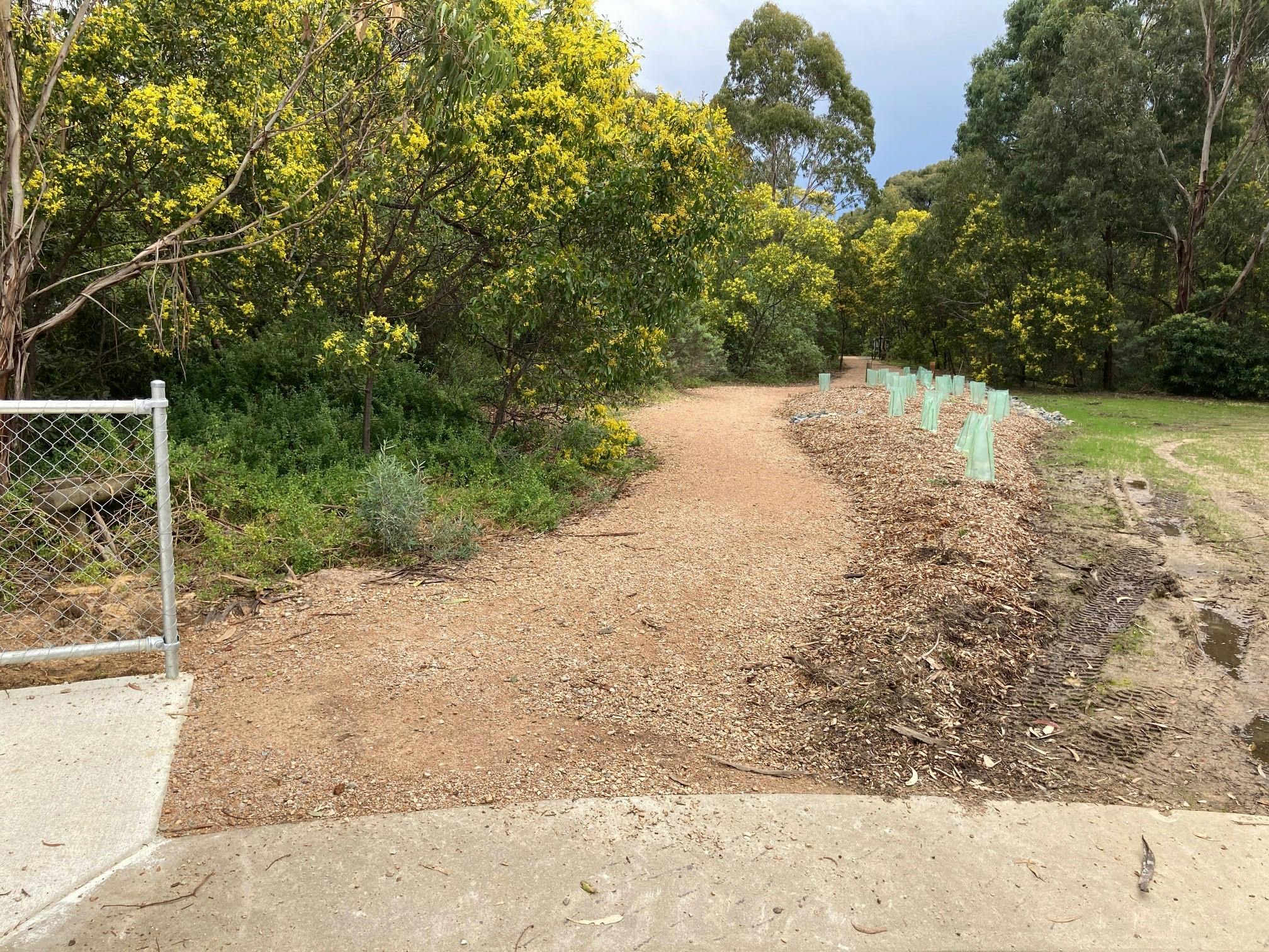 Lakes Entrance Jemmys Point trails - 20 August 2024