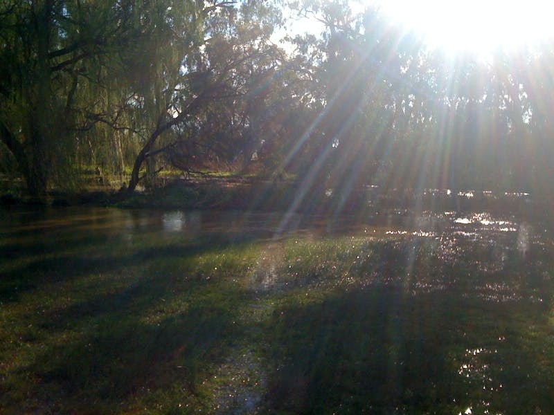 Flooding at Tarcutta Oval