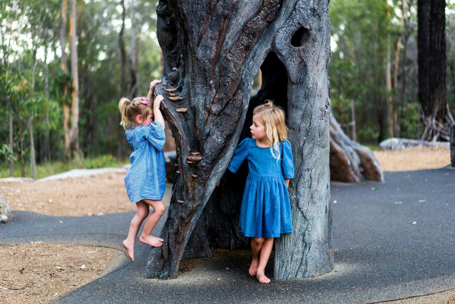 Children climbing and experiencing imaginative play in a giant tree hollow.