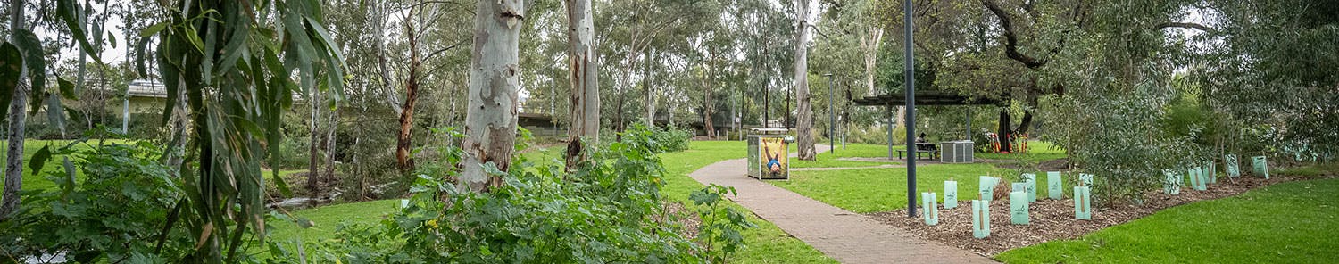 open green space framed by a creek and walking path