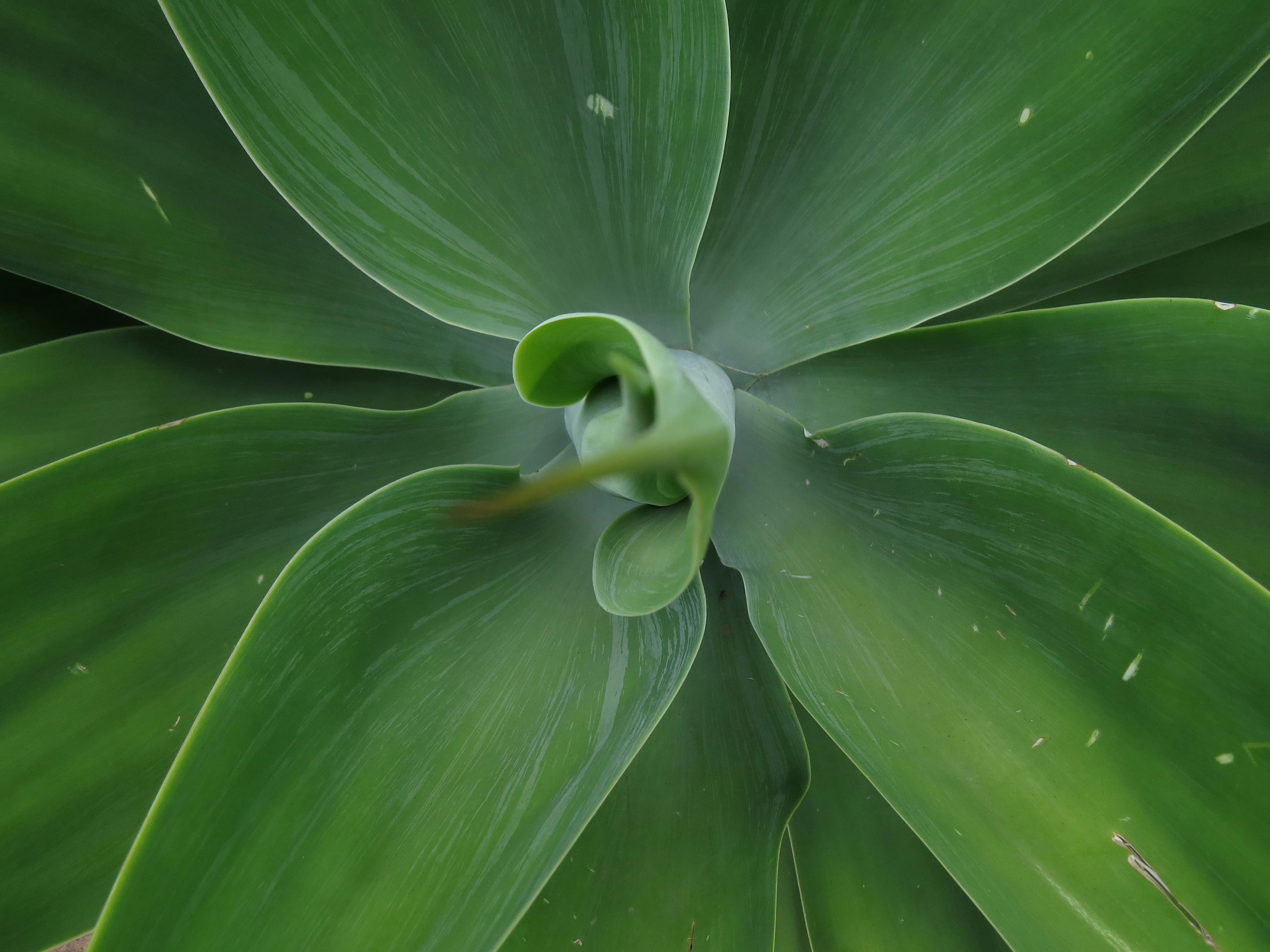 Andrew Shilabeer - Macro