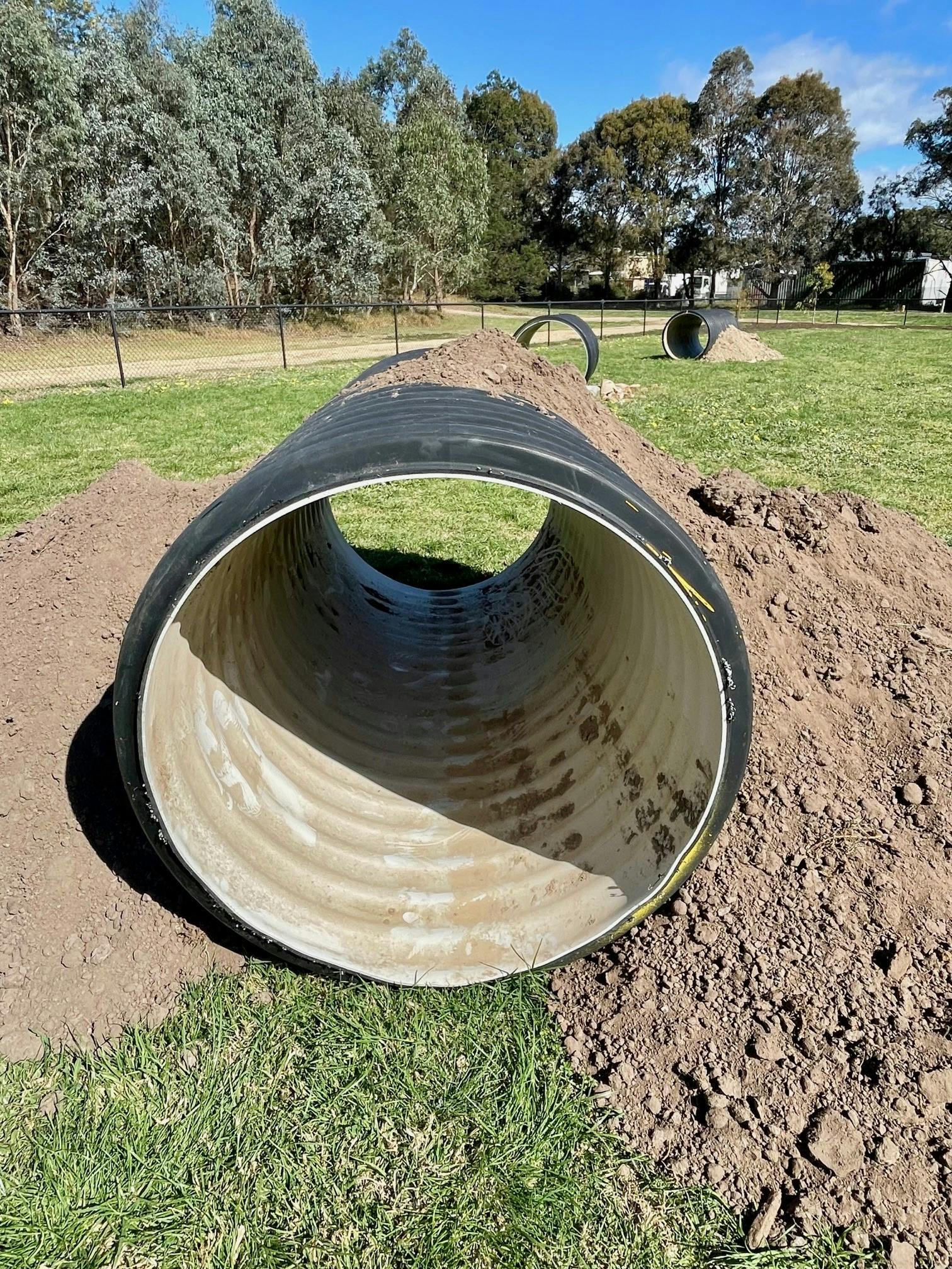 Bosworth Dog Park_WIP03.jpg