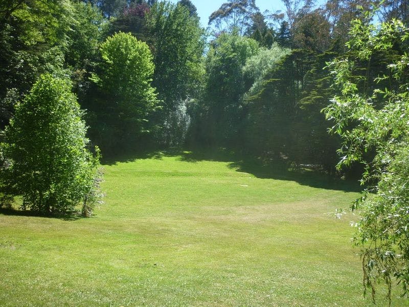 Lawns in ampitheatre. Kingsford Smith Park