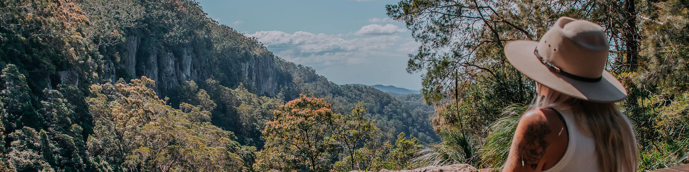 Panoramic view of forested hinterland hills with layered mountain ridges extending into the distance under a clear sky.