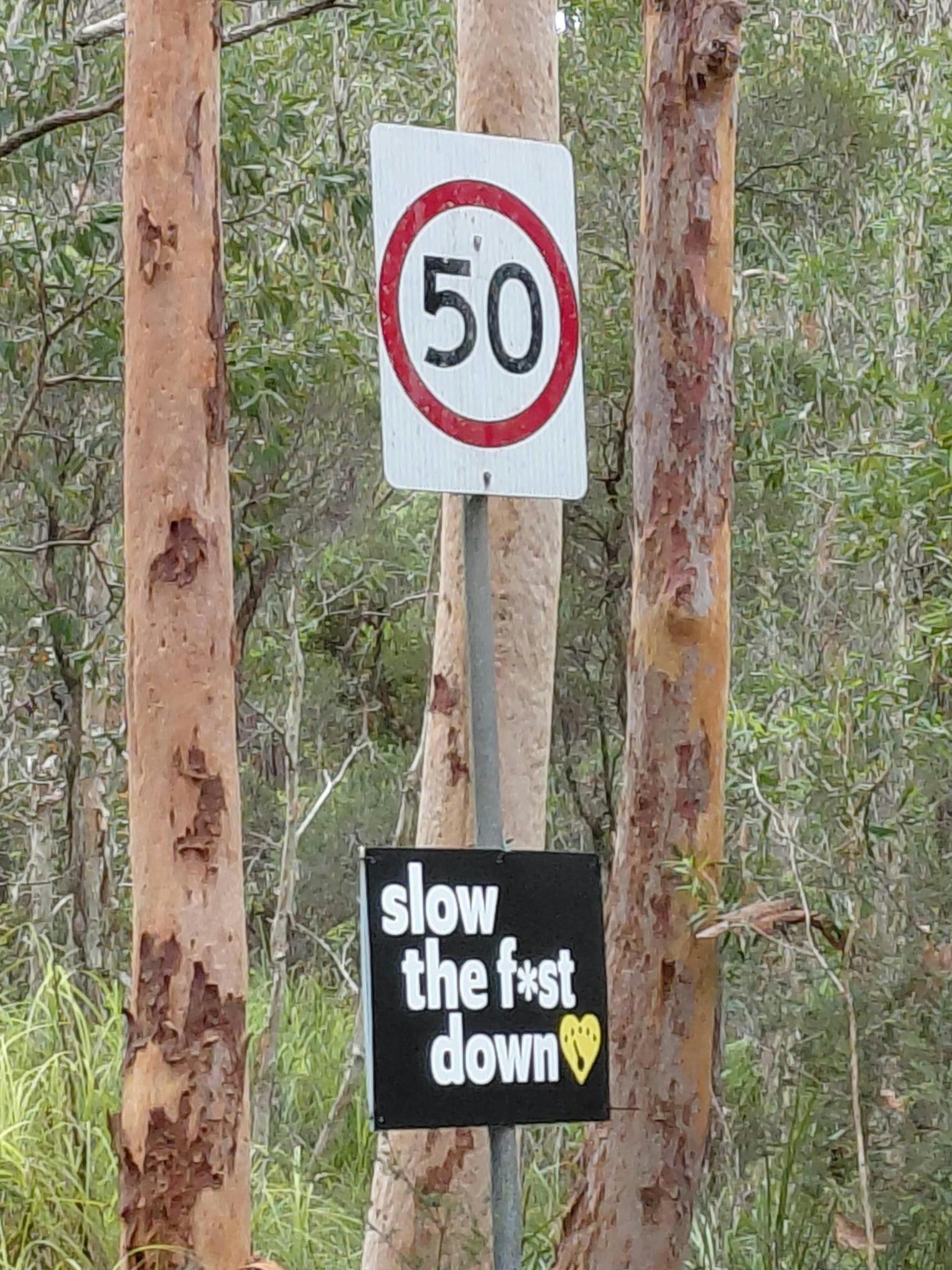 STFD Road sign Bucca Road .jpg