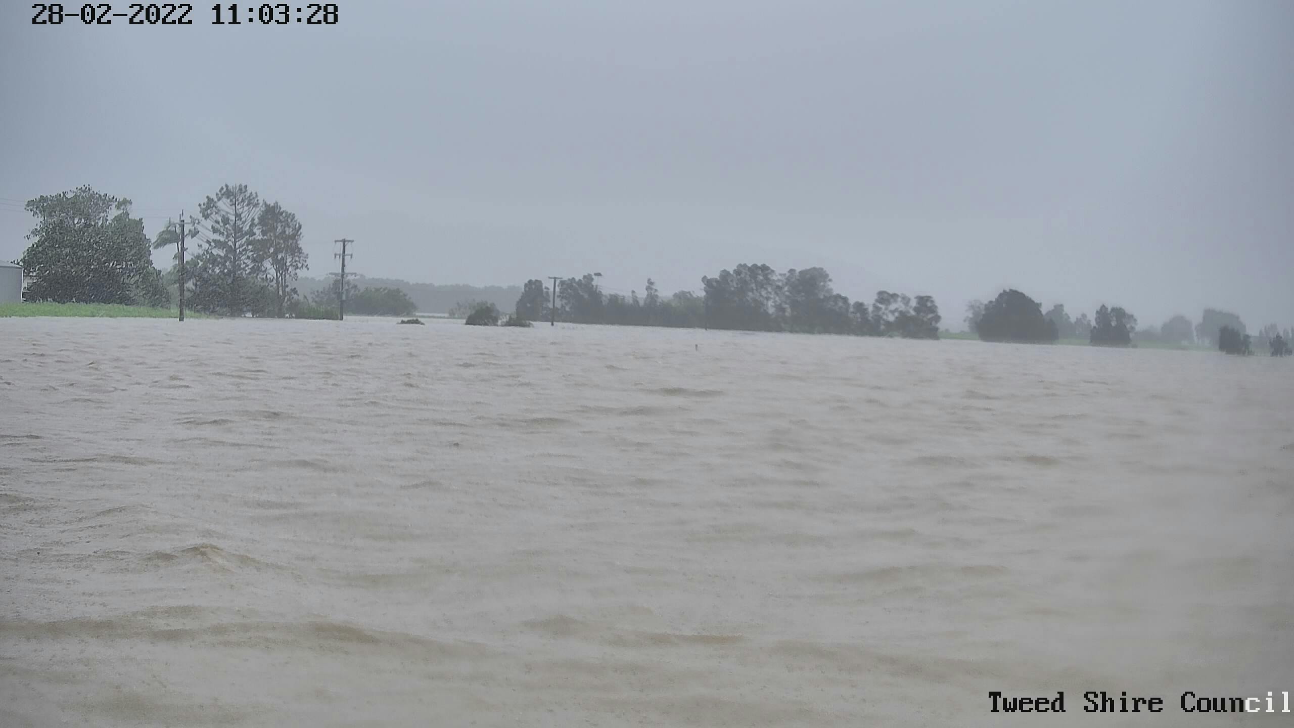 Oakes Avenue flood camera image just north of the Cudgen Road intersection.jpg