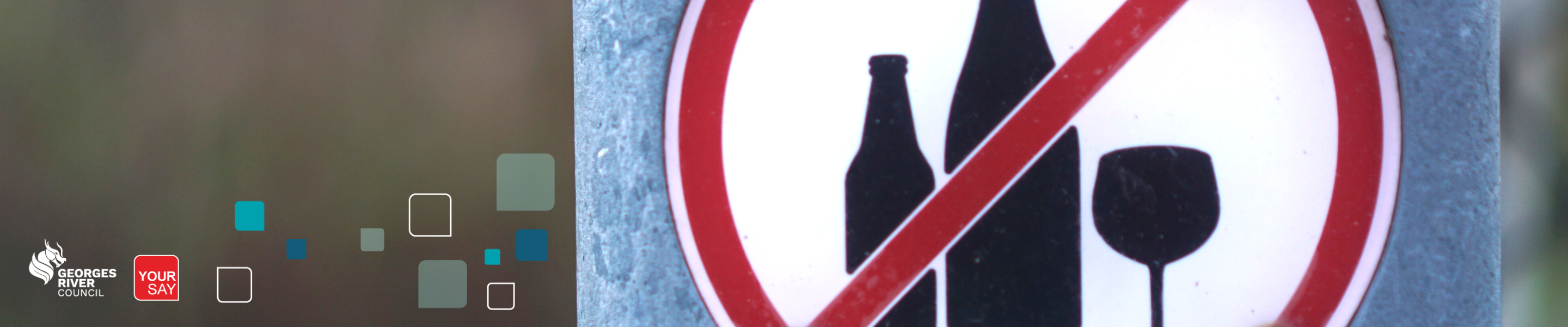 project banner
