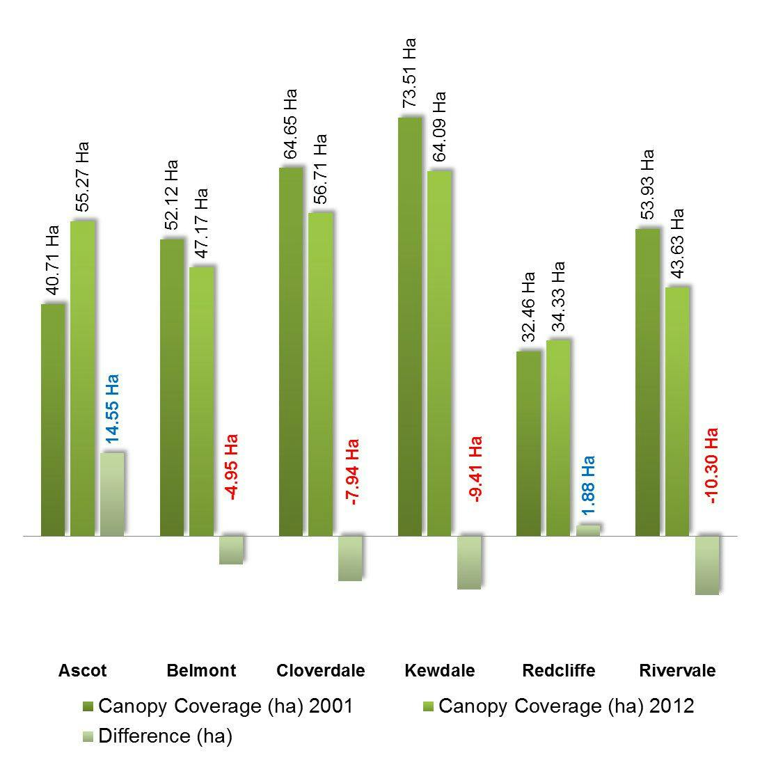 Canopy Loss