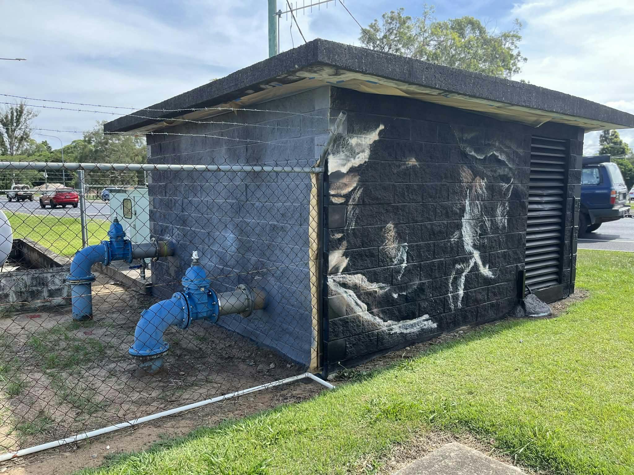 Progress photo - quoll