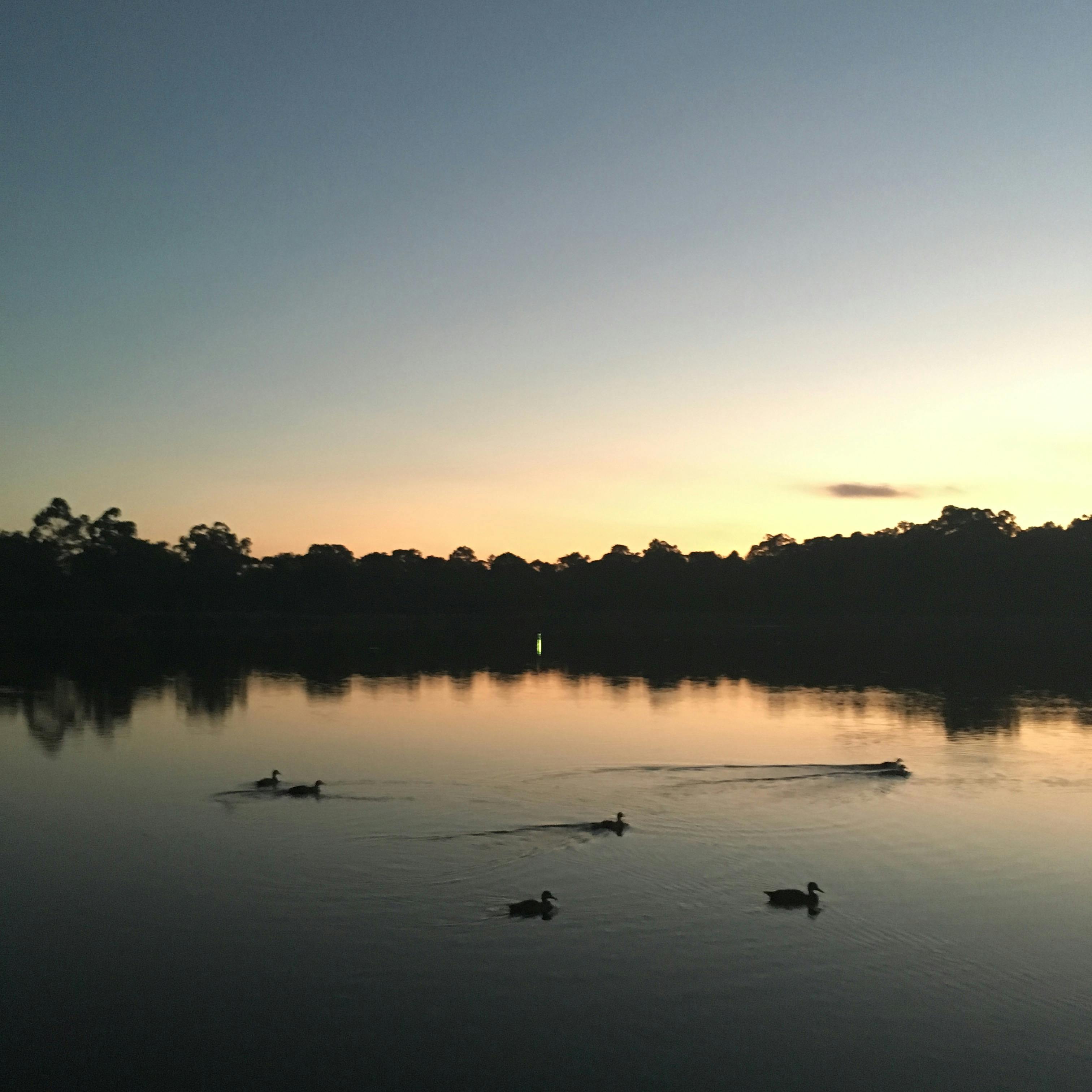 Enjoying seeing the sun set over Glenbrook Lagoon.