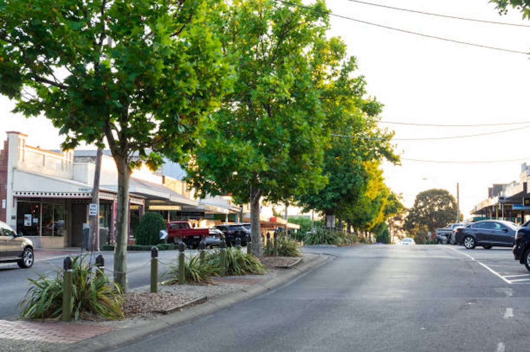 Image of  urban street with trees