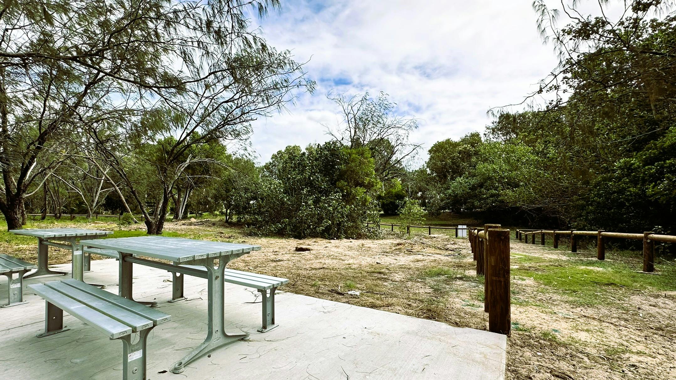 McEwens Beach revegetation - Stage 1 site.JPEG