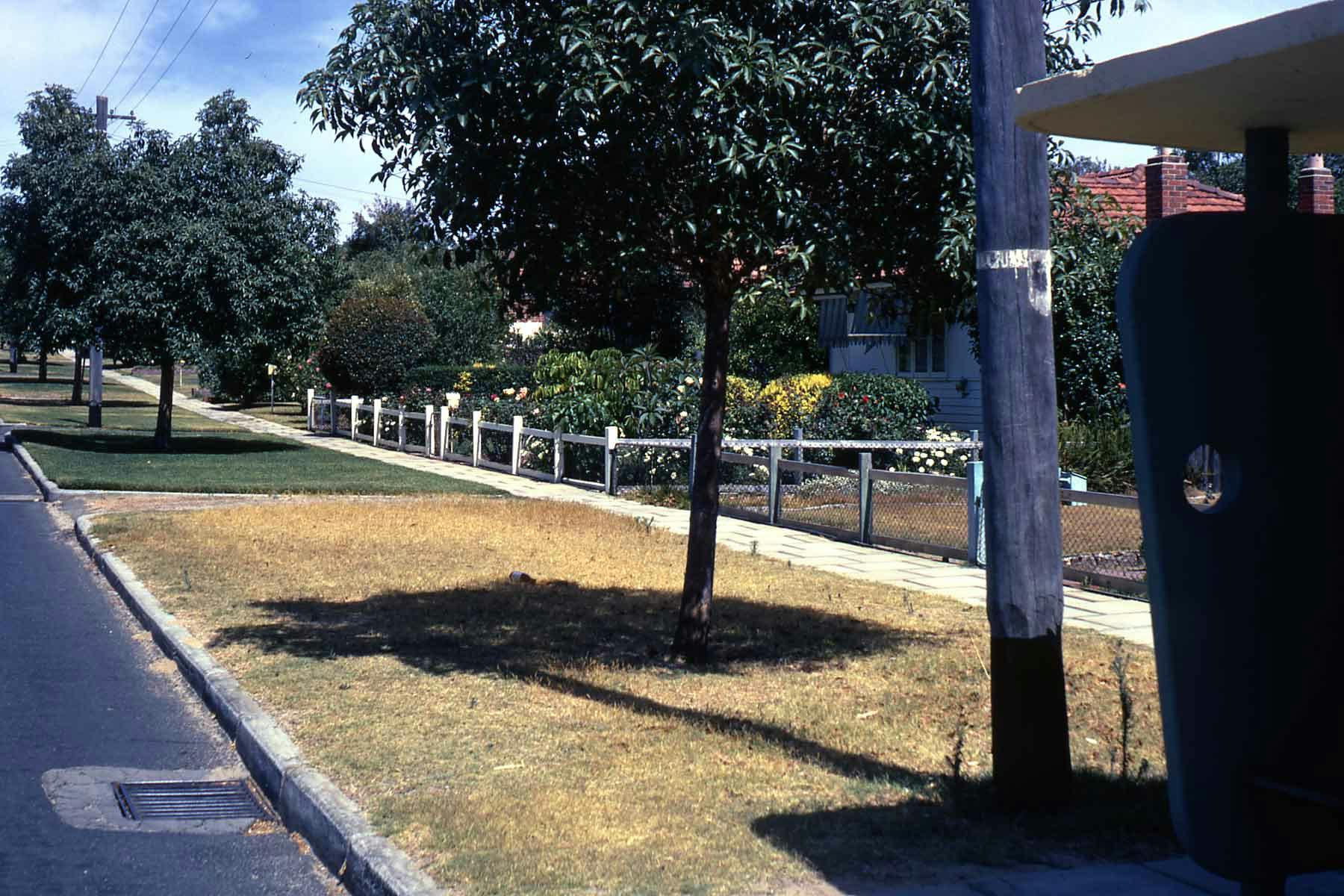 Hilton Streetscape - 1972