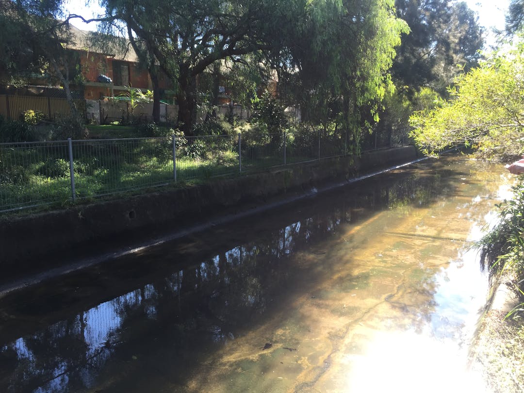 Current condition of Whites Creek