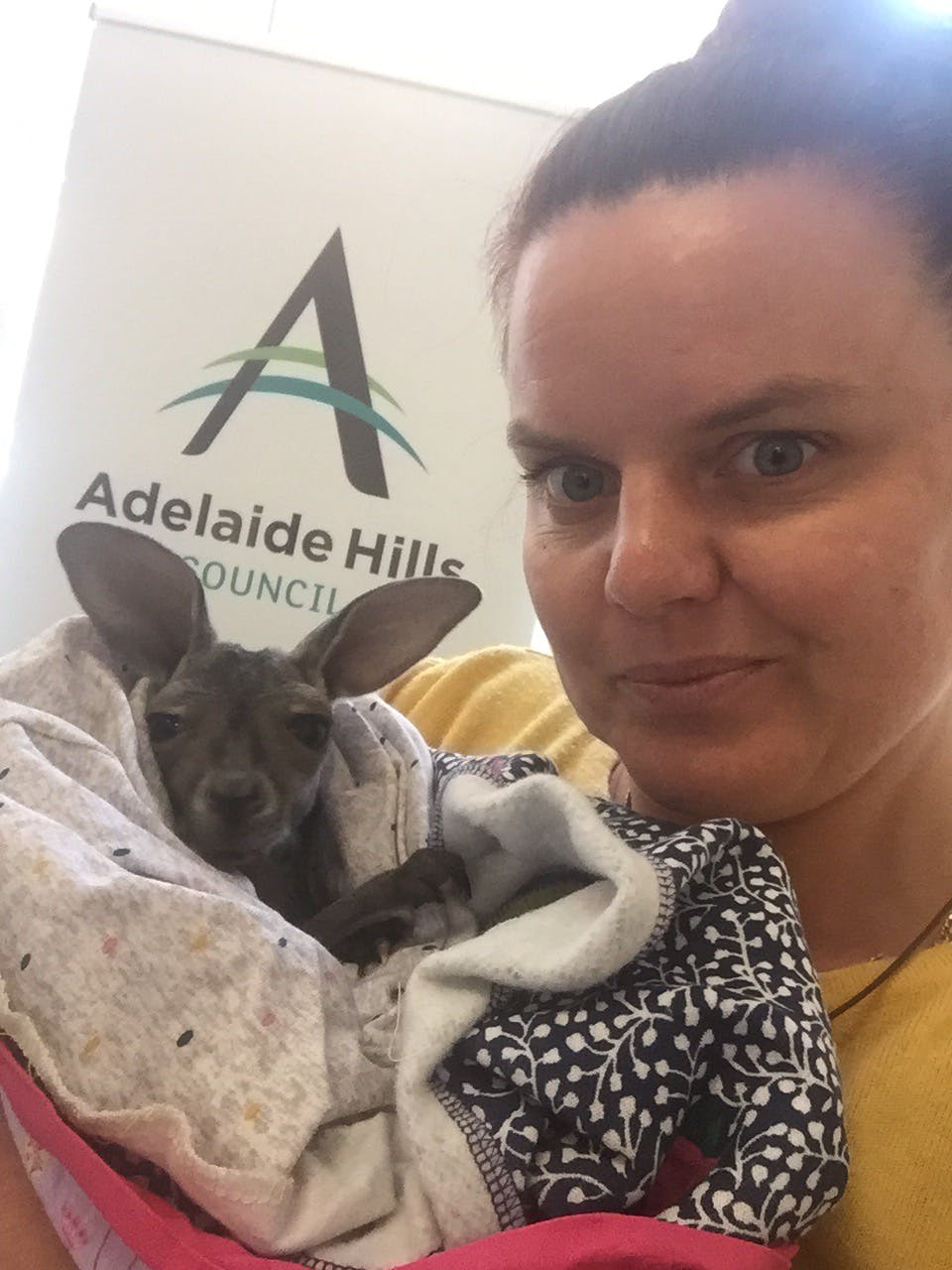 Dan The Joey Visiting the Recovery Centre