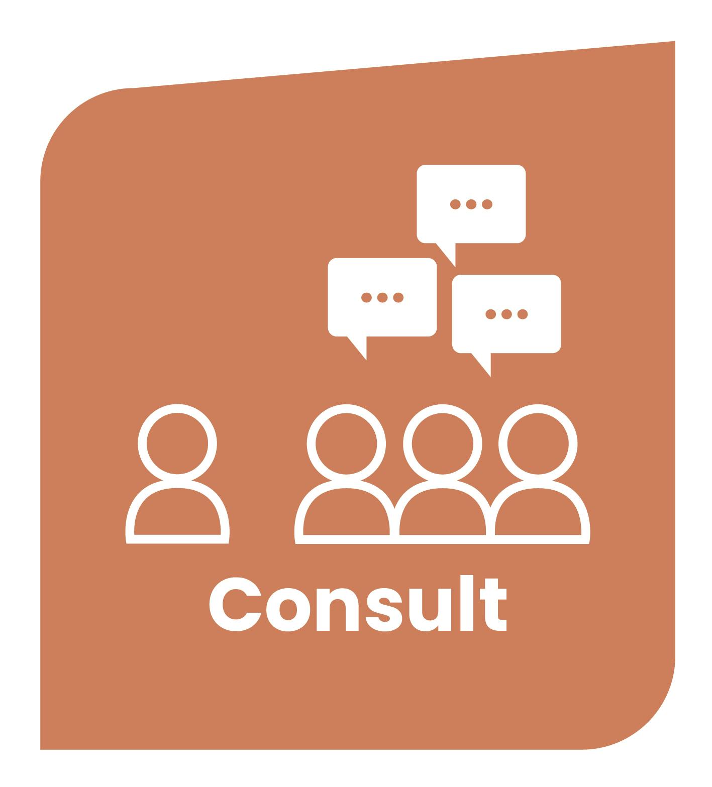 Community Consultation Icons_angled BG_CMYK-02.jpg