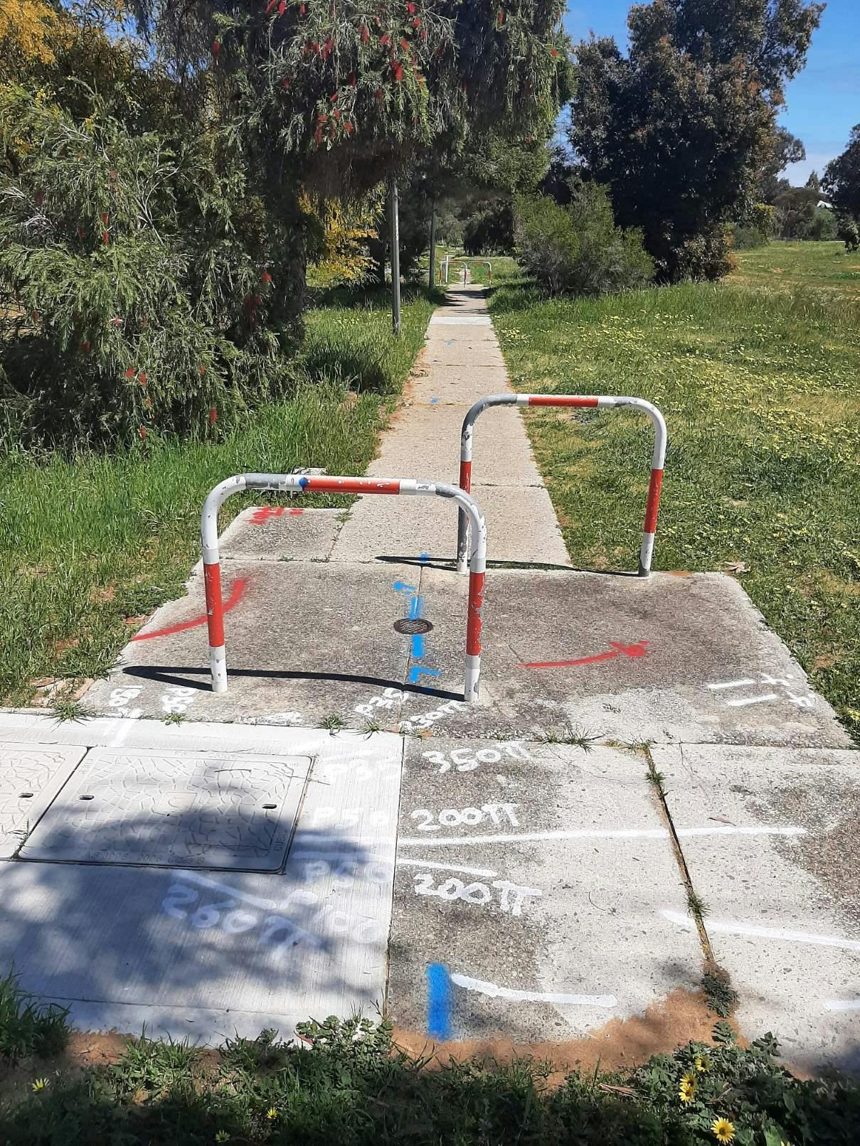 PAW Fifth-OReilly  3.jpg