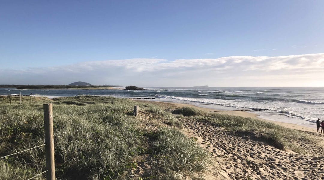 Cotton Tree Proposed location for viewing platform