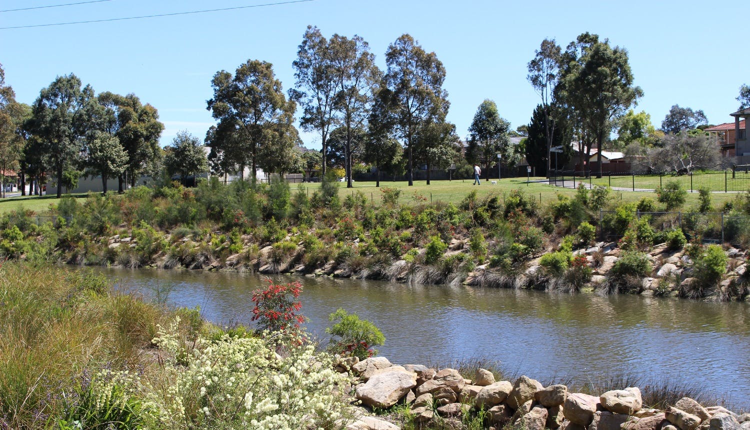 Gently sloping banks made up of sandstone boulders and low growing native plants will replace the old concrete banks (Photo Cooks River)
