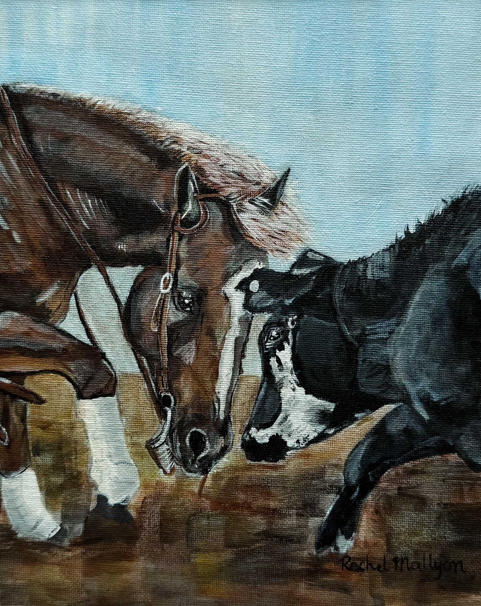 Rachel Mallyon - Cowsense 