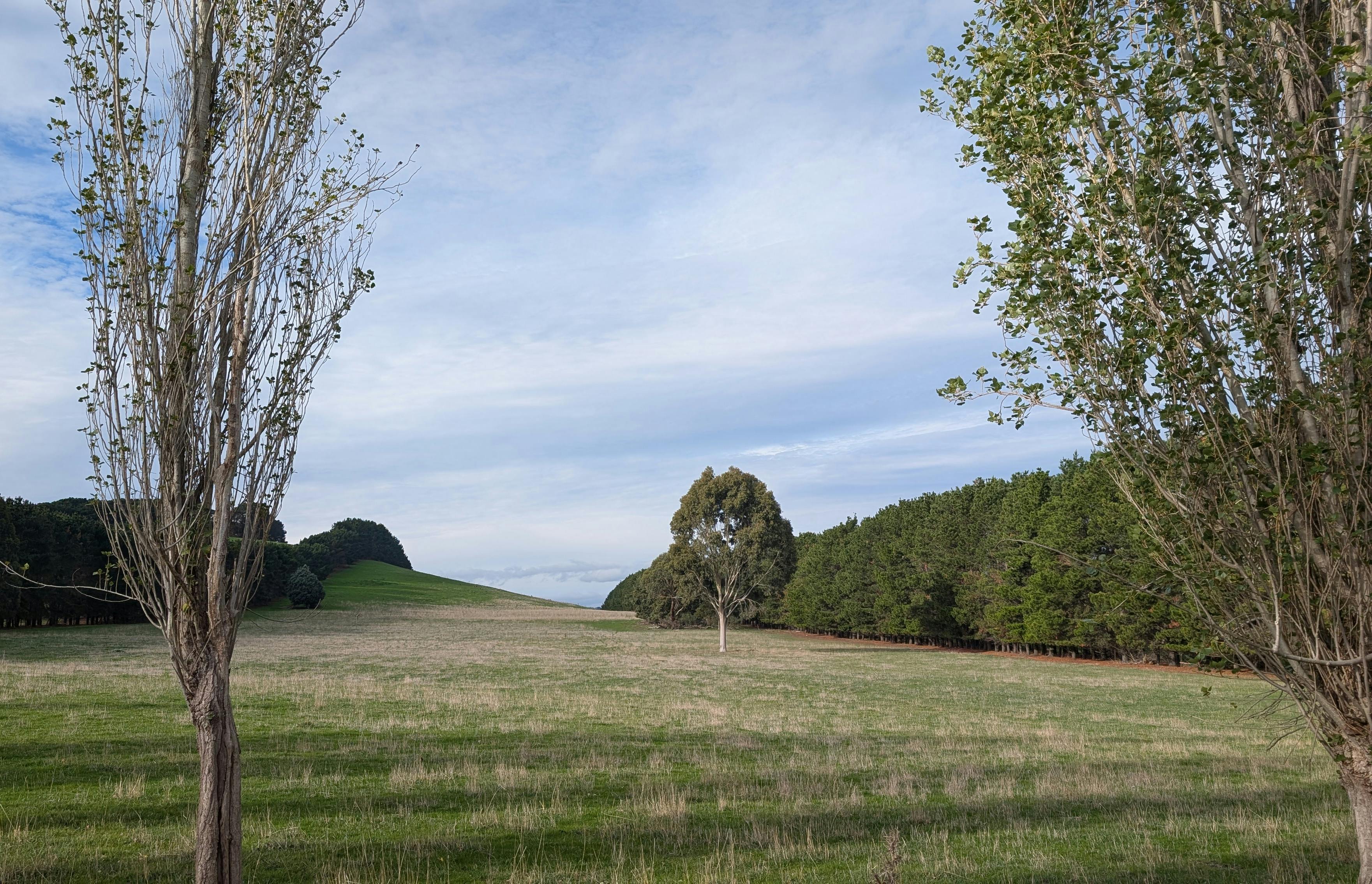 Bald Hill base - South-western edge.jpg