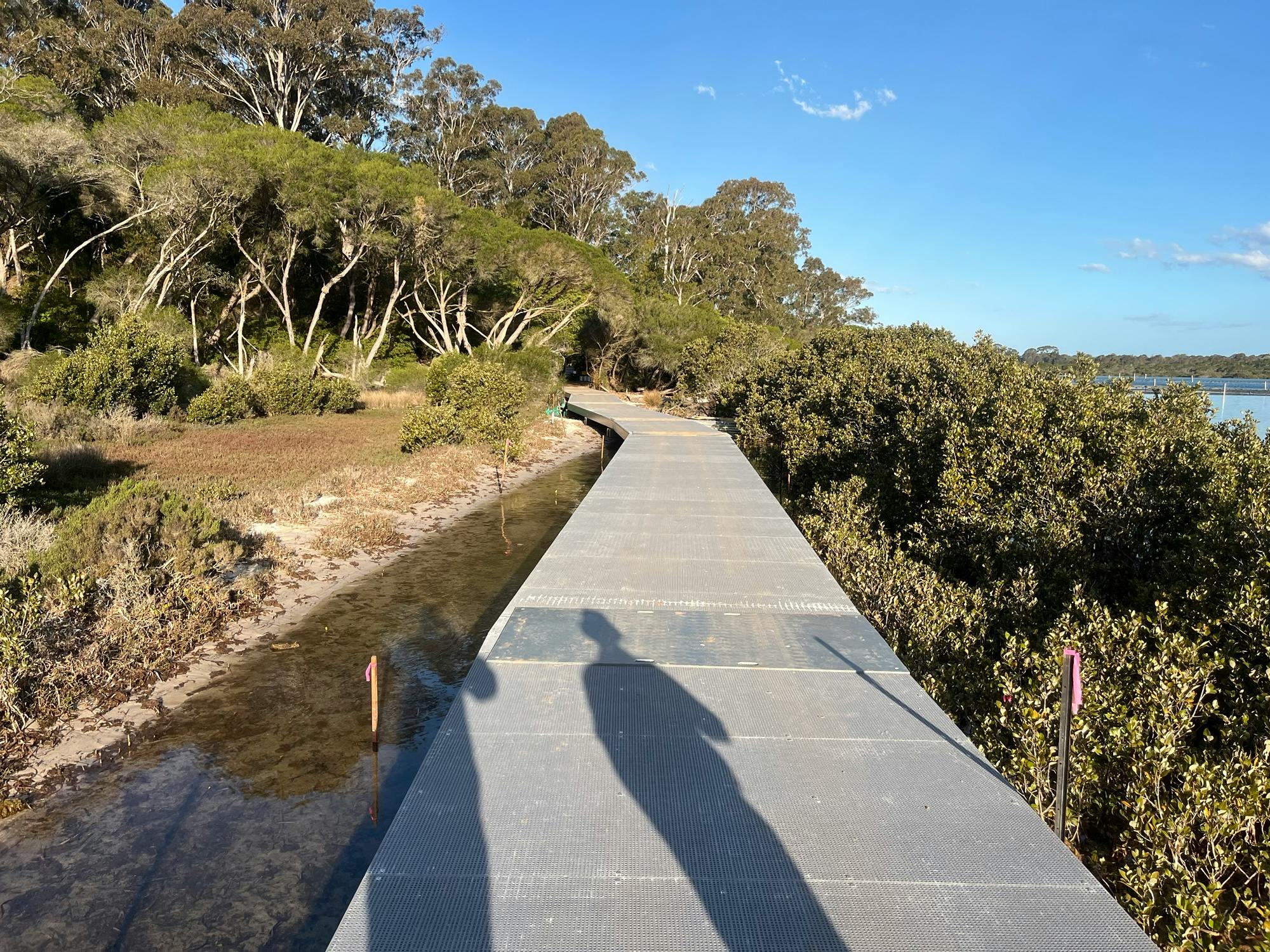 Merimbula Boardwalk construction - September 2026 3.jpeg