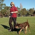 Dog recreation on lead, sportsground