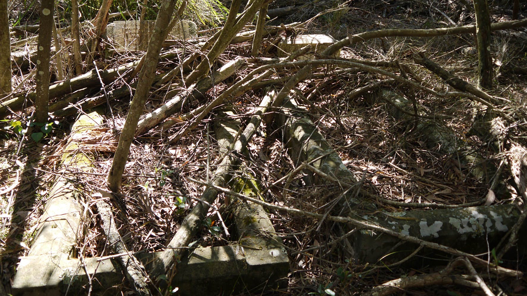 Two graves with cement surrounds