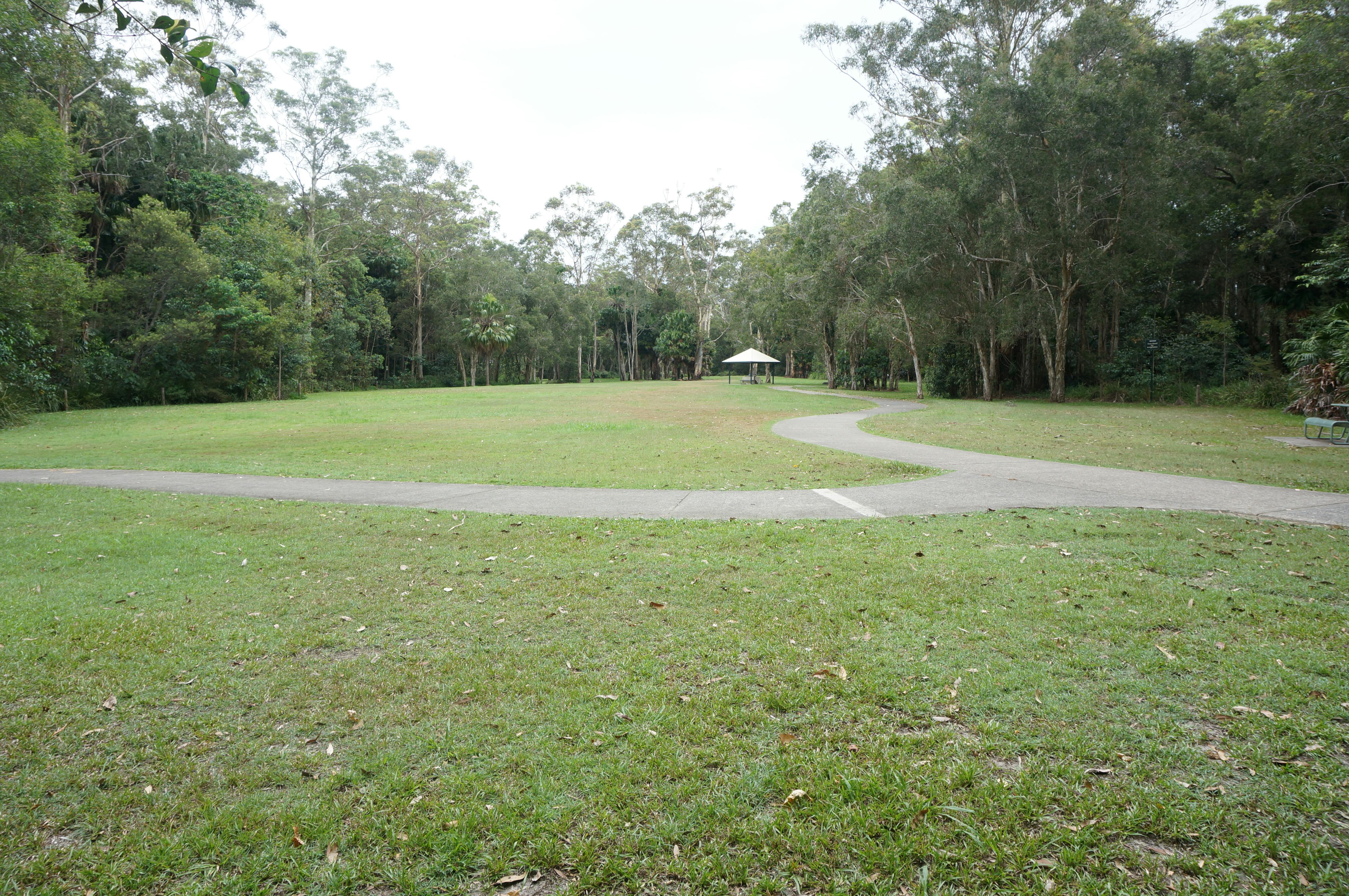 Open paces to run and play