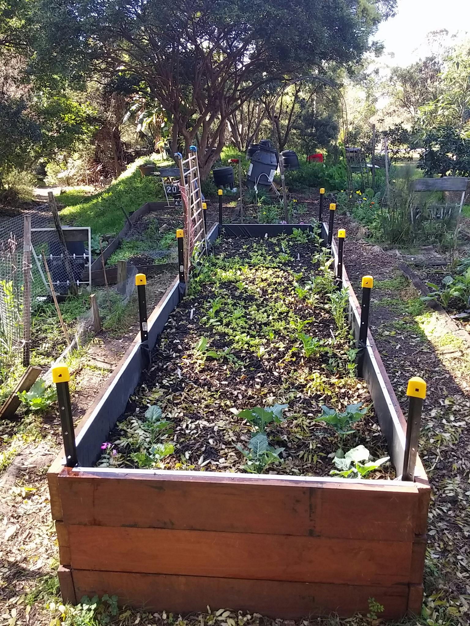 Community Garden