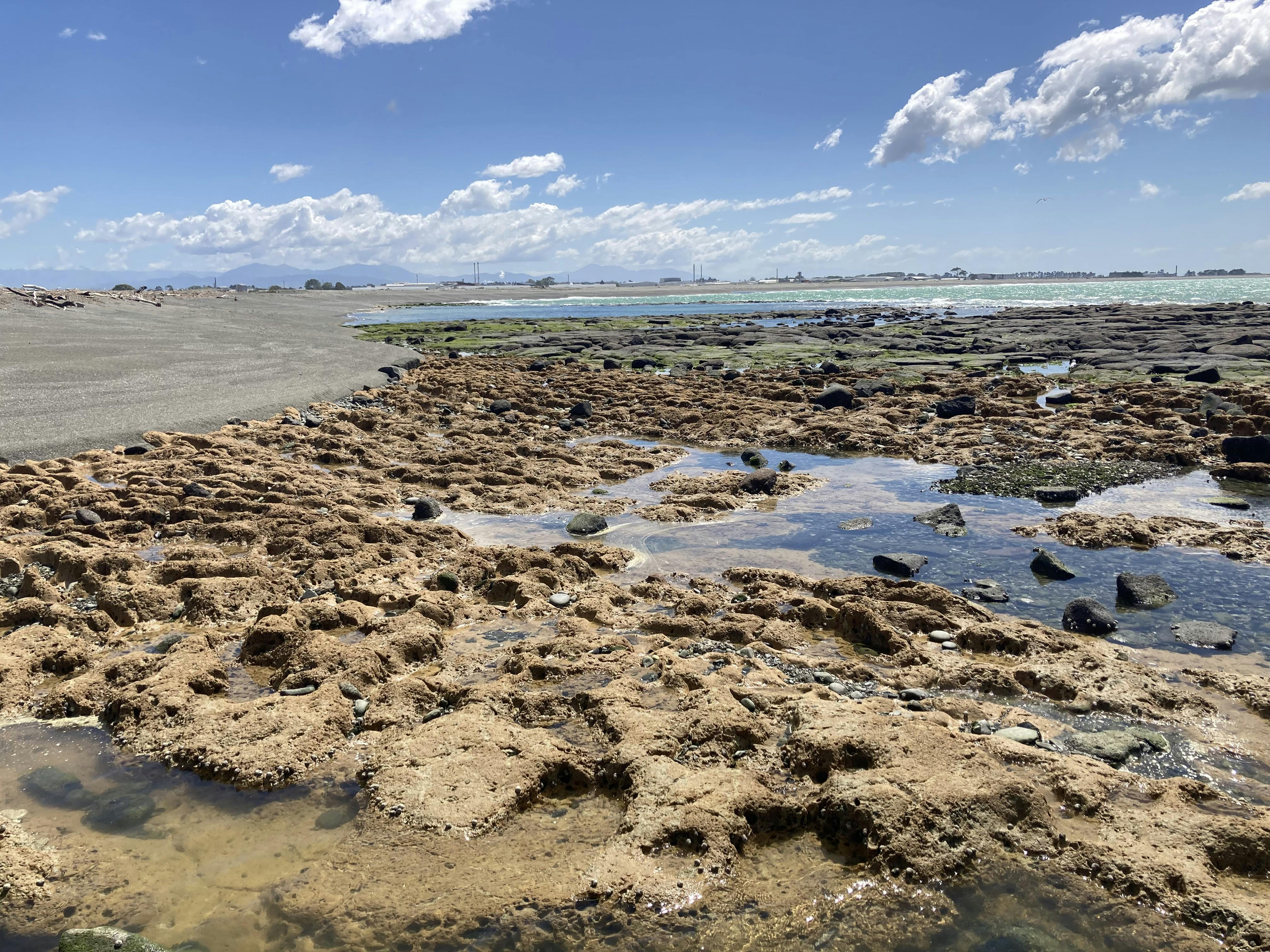 Rock pools at Waitarakao Lagoon 2023