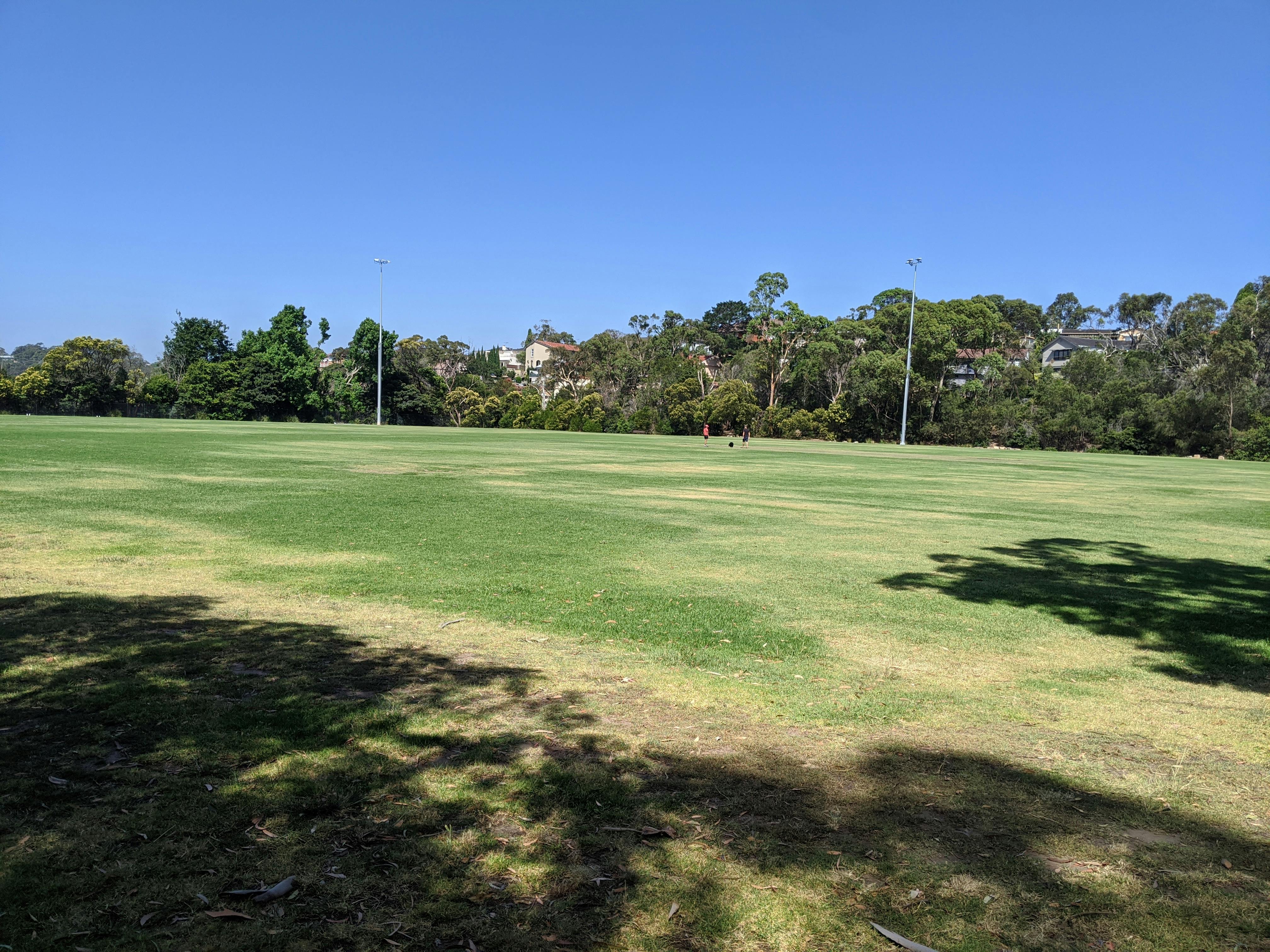 Castle Cove Oval.jpg