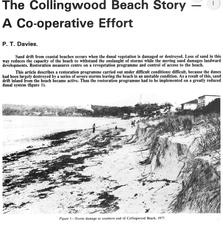 Historic sand drift article - Collingwood Beach 