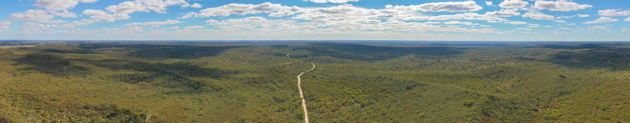Wide landscape view with low bushy vegetation and blue sky with white clouds. A track runs through the centre.