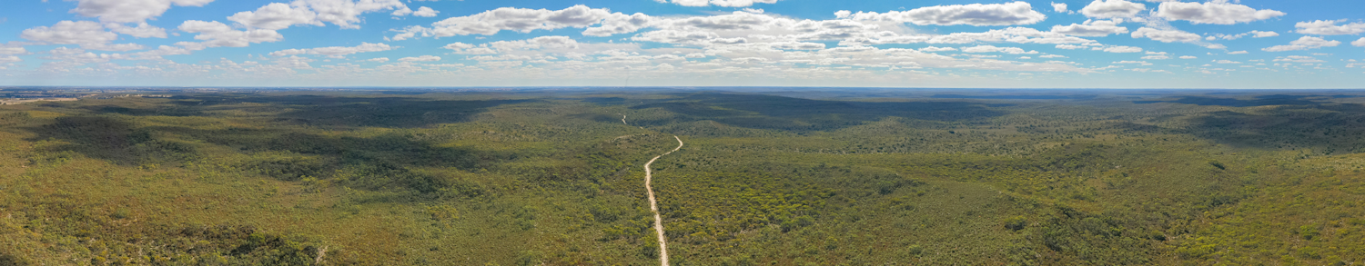 Wide landscape view with low bushy vegetation and blue sky with white clouds. A track runs through the centre.